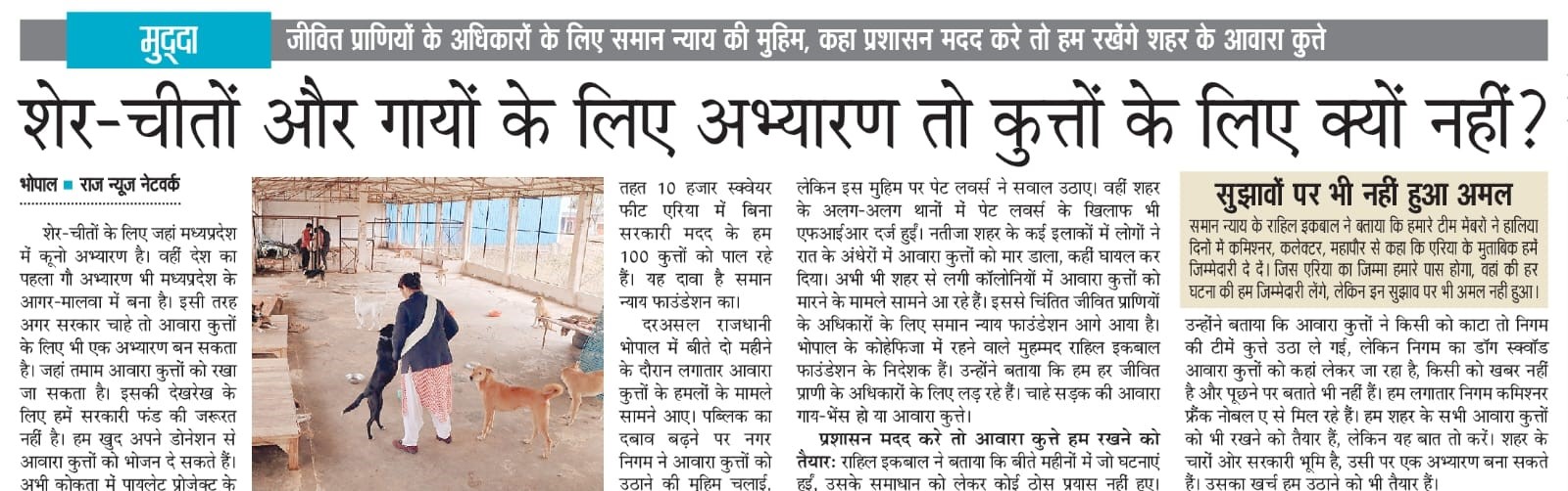 Advocacy for Stray Dog Welfare — Bhopal